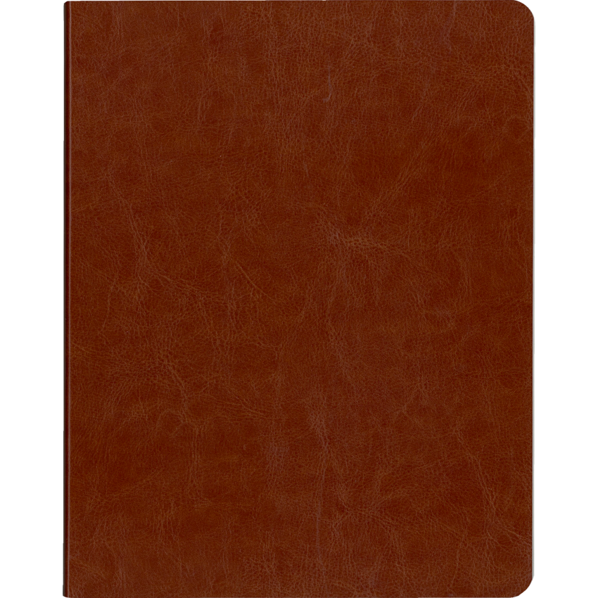 Blueline® Flexi Notebook 144 pages 9-1/4" x 7-1/4" Brown