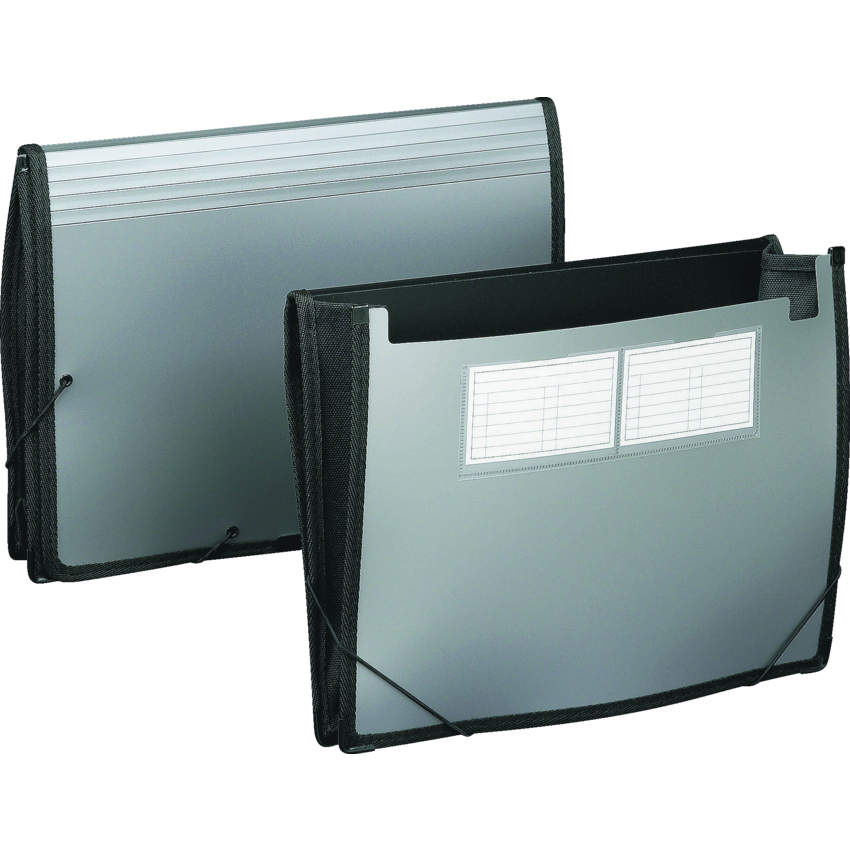 Pendaflex Professional Series Attache File