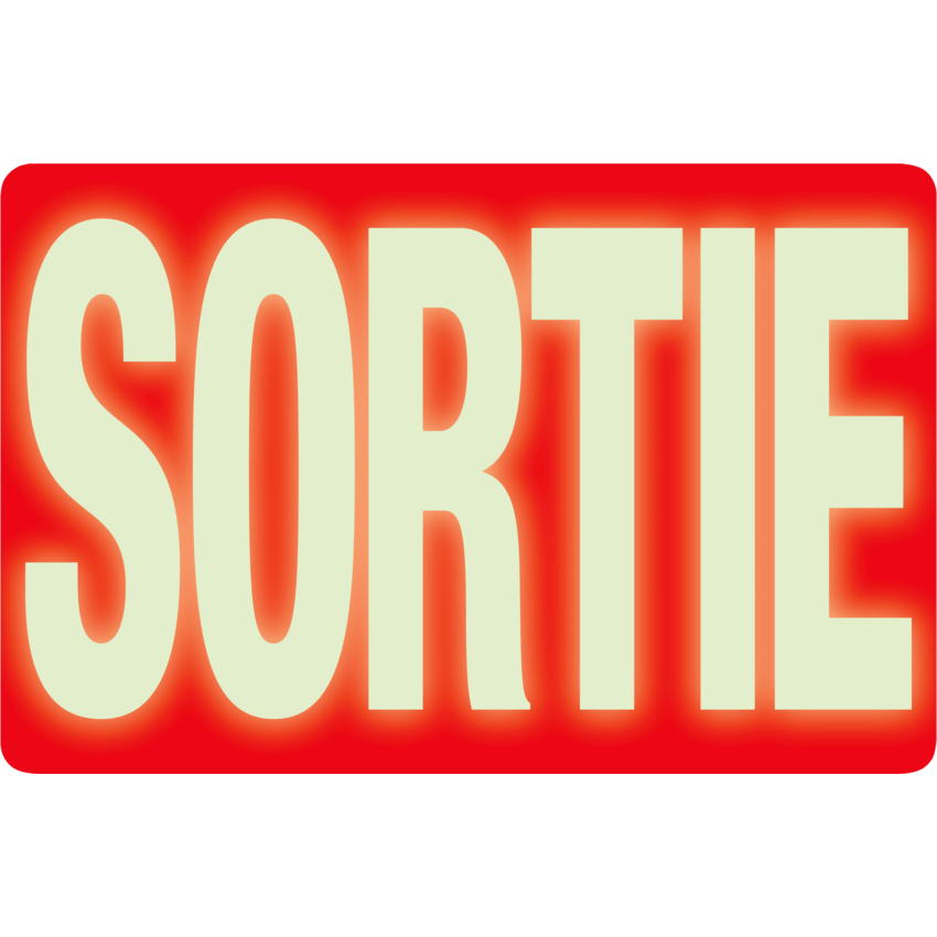 Headline® Glow in the Dark Exit Sign French