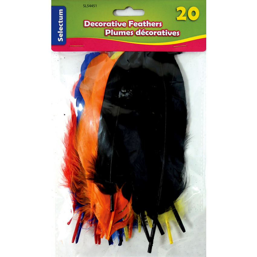 Selectum Decorative Feathers Large 14 g