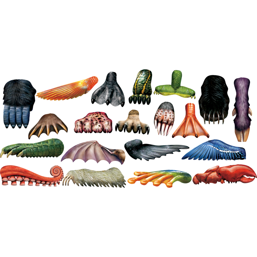 Roylco Animal Paint Scrapers 20/pkg