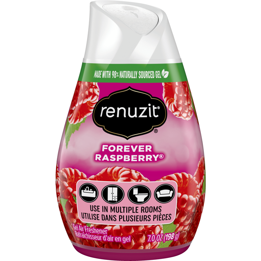 Renuzit Air Freshener Forever Raspberry 198g