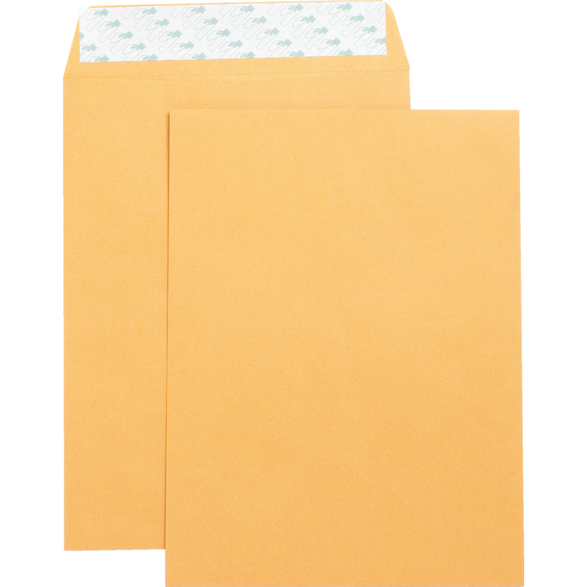 Business Source® Self Adhesive Catalogue Envelopes 28 lb 9" x 12" Golden Kraft 250/box
