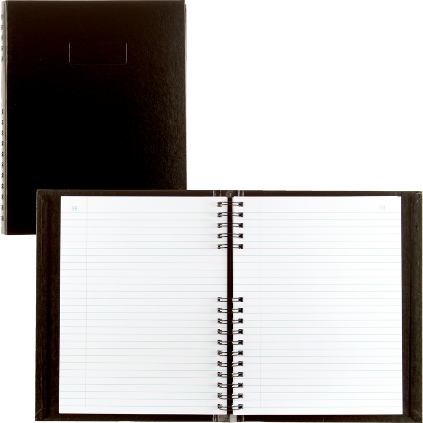 Blueline® AccountPro™ Book 10-1/4" x 7-11/16" 300 pages